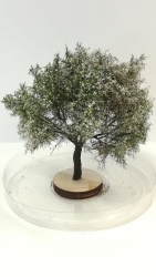 Freon JABK Apfelbaum im Frhling ca. 7cm H0