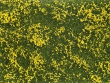 Noch 07255 Bodendecker-Foliage Wiese gelb