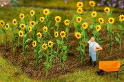 FALLER 181256 Sonnenblumen H0