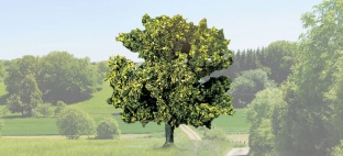 NOCH 21550 Obstbaum gr�n H0