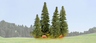 NOCH 25432 Tannen Spur - Neutral