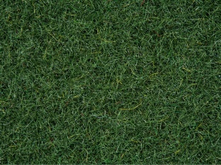 Noch 50200 Streugras Moorboden, 2,5 mm