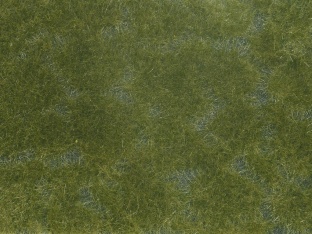 Noch 07252 Bodendecker-Foliage dunkelgr�n