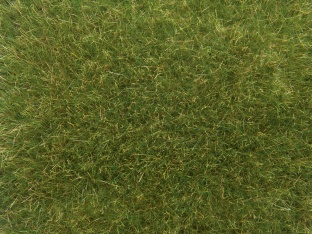 Noch 07118  Wildgras 50g
