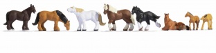Noch 36762 Kaltblutpferde N-Spur