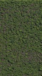 Busch 7348 Foliage Waldheidelbeeren