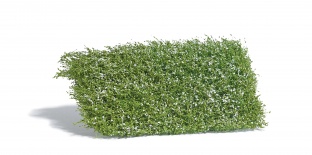 Busch 3595 Str�uchermatte wei� bl�hend