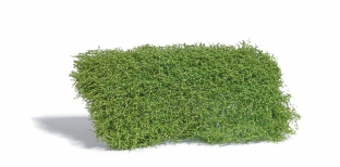 Busch 3596 Str�uchermatte Fr�hling