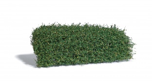 Busch 3599 Str�uchermatte Sp�tsommer