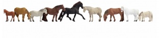 Noch 36761 Pferde N-Spur