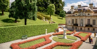 Noch 21518 Hecken, hoch gr�n H0