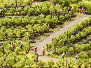 NOCH 21540 Weinreben H0