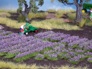 NOCH 07136 Lavendel H0