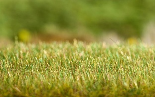 Faller 180691 Begrasungsger�t Gras-Fix