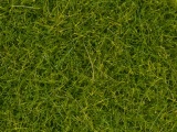 Noch 07112 Wildgras XL, hellgr�n, 12 mm