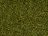 Noch 07117 Wildgras 
