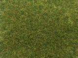 Noch 07118  Wildgras 50g