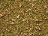 NOCH 07075 Master-Grasmischung Almwiese, 2,5 bis 6 mm