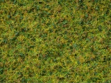 NOCH 07073 Master-Grasmischung Kuhweide, 2,5 bis 6 mm